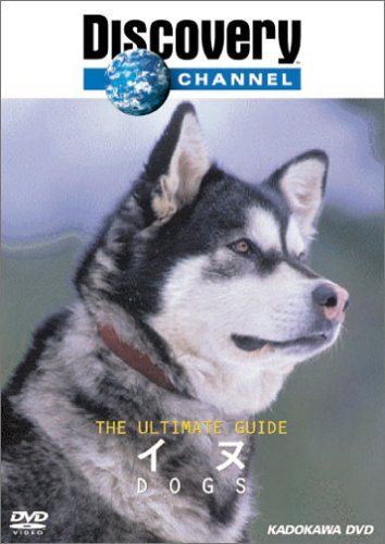 ディスカバリーチャンネル The Ultimate Guide イヌ [DVD](中古品)