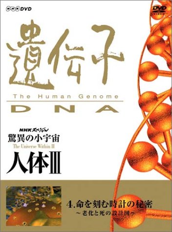 NHKスペシャル 驚異の小宇宙 人体III 遺伝子~DNA 第4集 命を刻む時計の秘密(中古品)