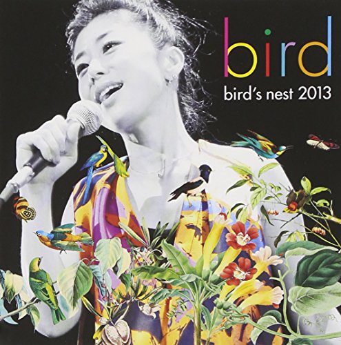 bird's nest 2013(中古品)