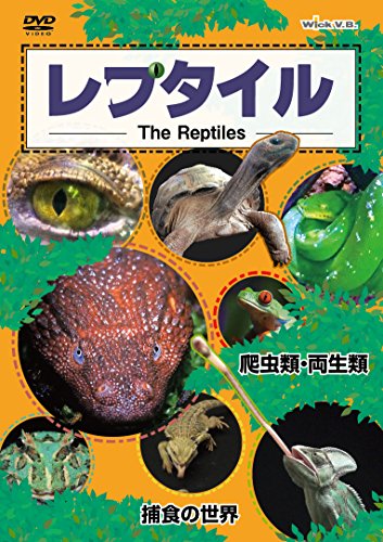 レプタイルDVD ~爬虫類・両生類/捕食の世界(中古品)