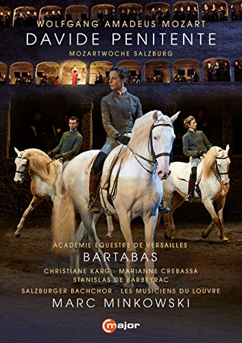 Davide Penitente [DVD](中古品)