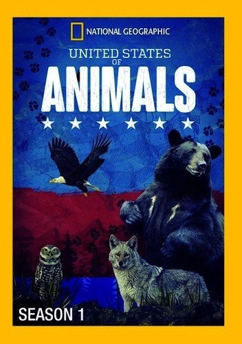 United States of Animals: Season 1/ [DVD](中古品)