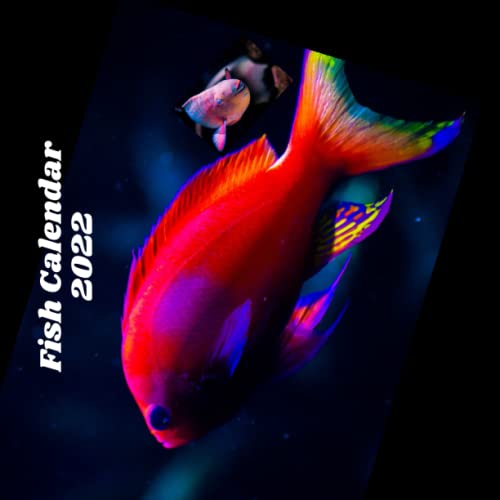 Fish Calendar 2022: Acquaint Calendar(中古品)